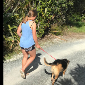 w-Dog-on-lead-l