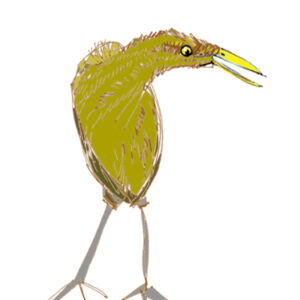 w-HH-Bittern #2