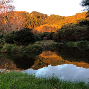w-24-Hunt’s wetland