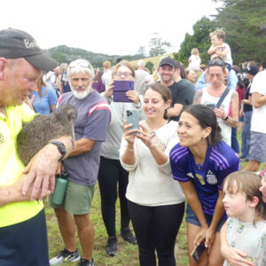 w-24.02-Sandy-kiwi release