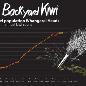 w-BYK POP Graph 2024