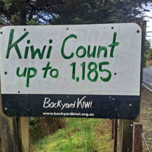 w-BYK Sign