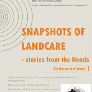 Stories at the heads poster – draft 2-1