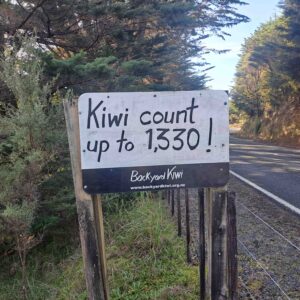 kiwi count 1330 july 2025 (7)rs